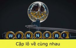 Tổng hợp các cặp lô hay về cùng nhau